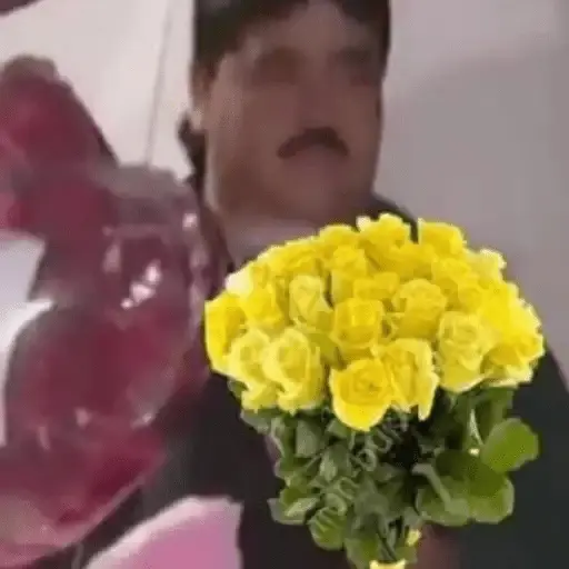Flores Amarillas🌻💛