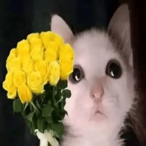Flores Amarillas🌻💛