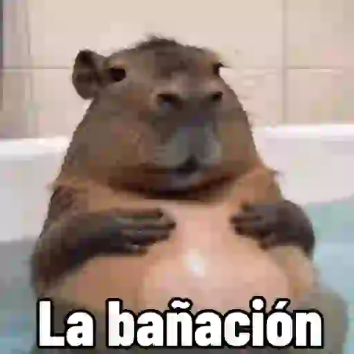 😎 ANIMADOS CON TEXTOS 😎