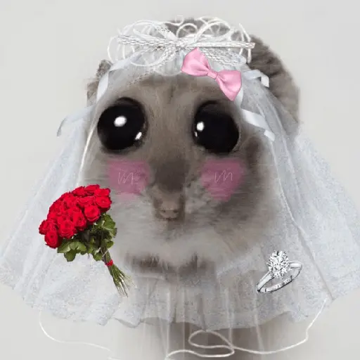 🐀 Rata Triste 🐀🐀 Meme 🐀