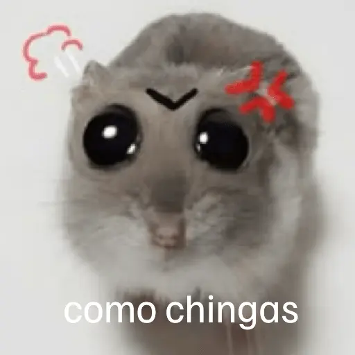 🐀 Rata Triste 🐀🐀 Meme 🐀