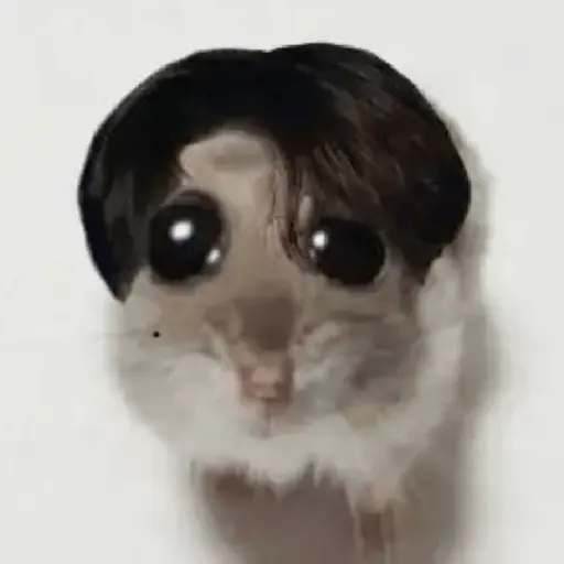 🐀 Rata Triste 🐀🐀 Meme 🐀