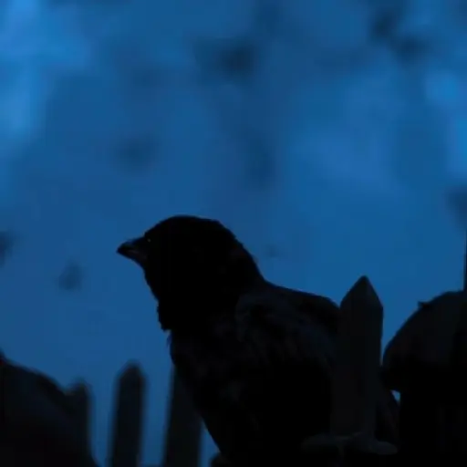 🎬 Merlina Wednesday 2 📺 Adams preview