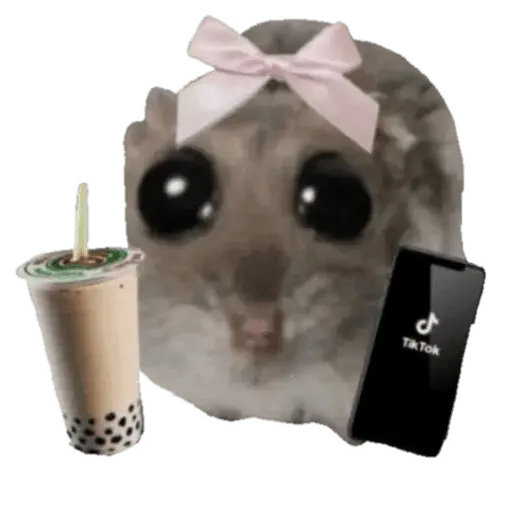 Ratita triste - Memes 🥲🤣