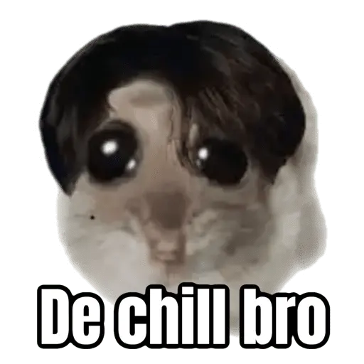 Ratita triste - Memes 🥲🤣