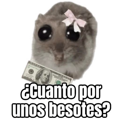 Ratita triste - Memes 🥲🤣