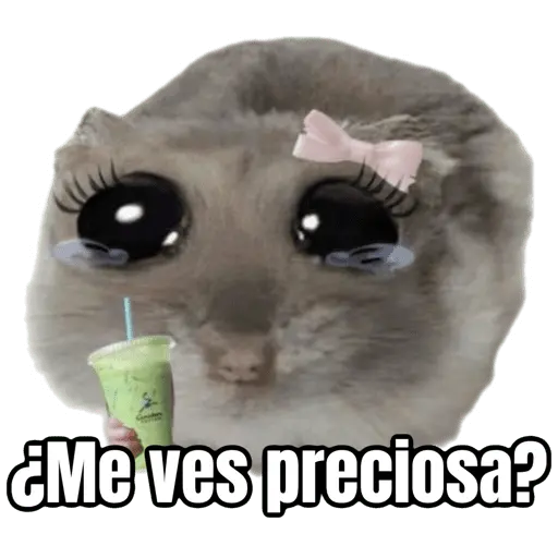Ratita triste - Memes 🥲🤣