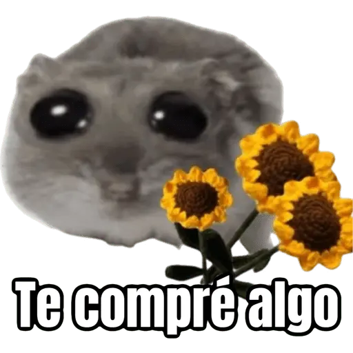 Ratita triste - Memes 🥲🤣