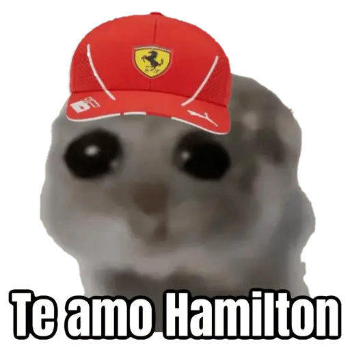 Ratita triste - Memes 🥲🤣