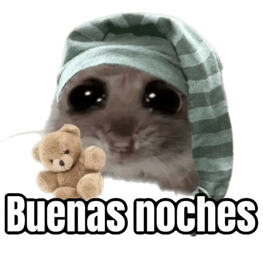 Ratita triste - Memes 🥲🤣