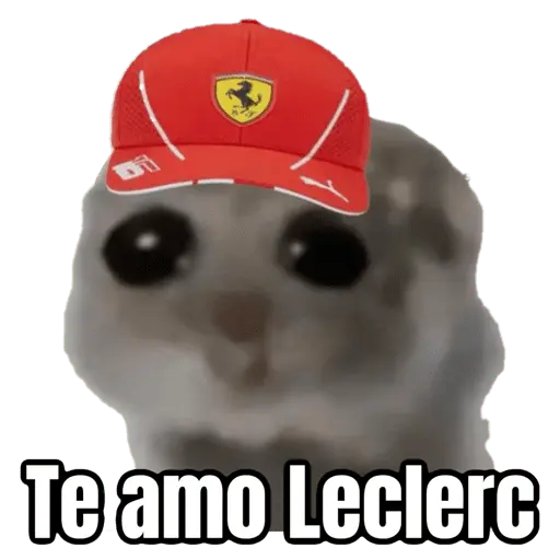 Ratita triste - Memes 🥲🤣