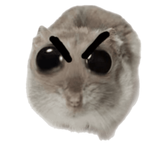 Ratita triste - Memes 🥲🤣 preview