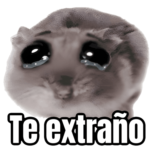 Ratita triste - Memes 🥲🤣 preview