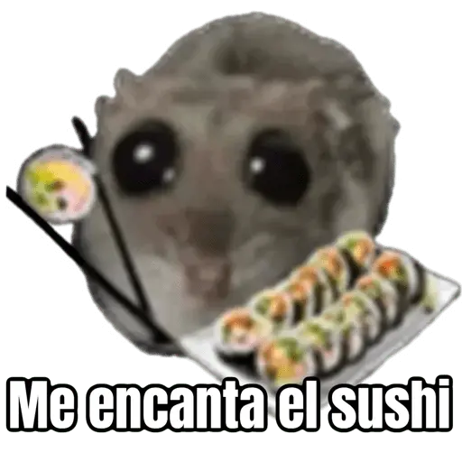 Ratita triste - Memes 🥲🤣