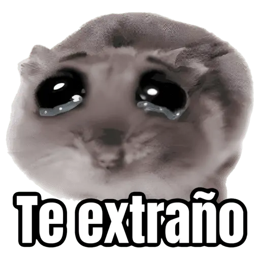 Ratita triste - Memes 🥲🤣