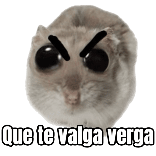 Ratita triste - Memes 🥲🤣 preview