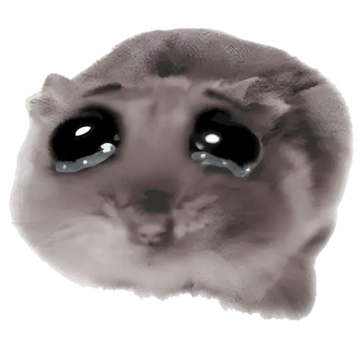 Ratita triste - Memes 🥲🤣