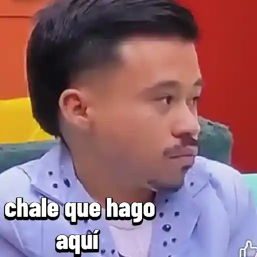 la casa de los famosos 