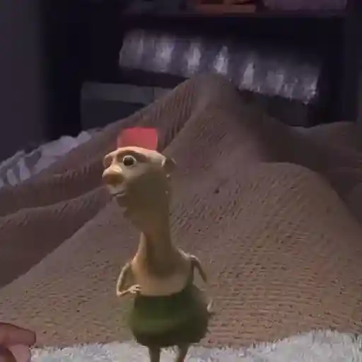 🔥TIKTOK RAMDON 2.3📲