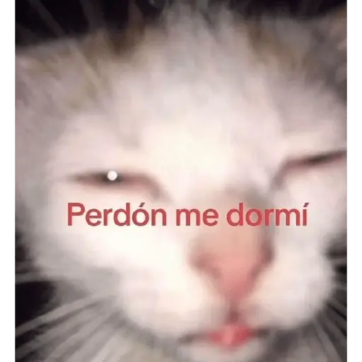 ratita