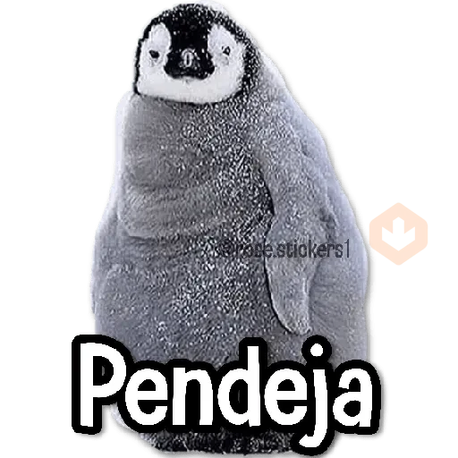 Memes Random➍ღ💫 sticker 11