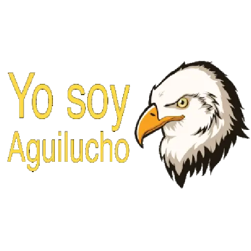 amor por el futbol