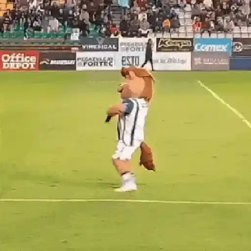 amor por el futbol