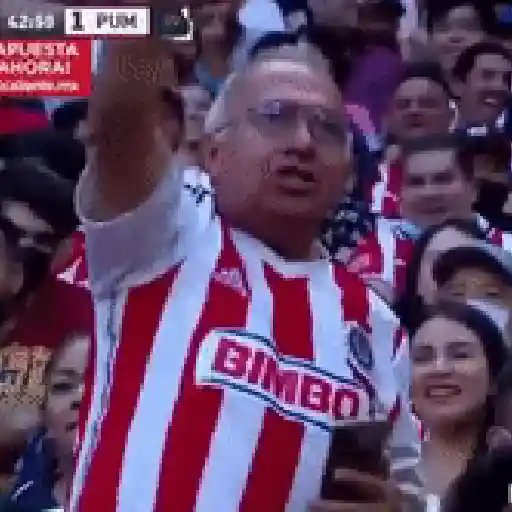 amor por el futbol
