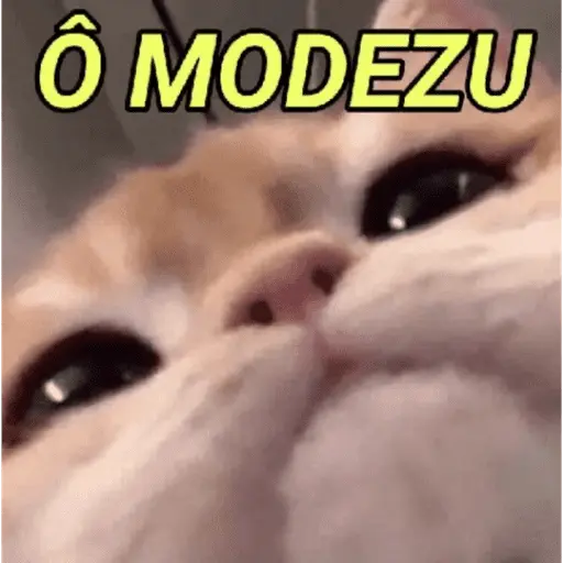 Amor / Namoro ❤️