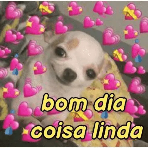 Amor / Namoro ❤️
