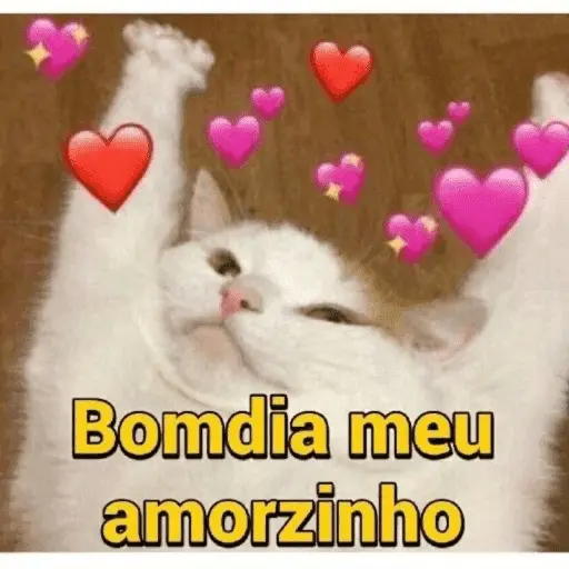 Amor / Namoro ❤️