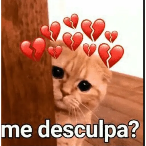 Amor / Namoro ❤️