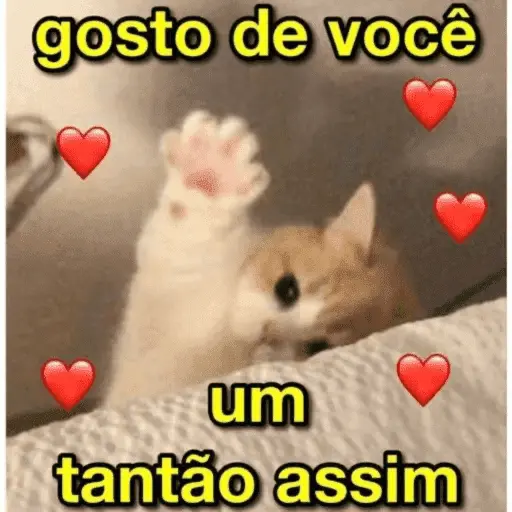 Amor / Namoro ❤️