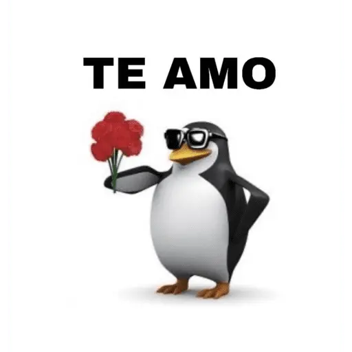 Amor / Namoro ❤️