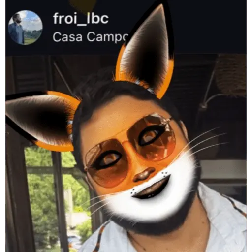Creador de Stickers 