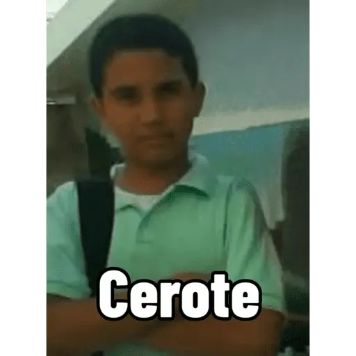 Creador de Stickers 
