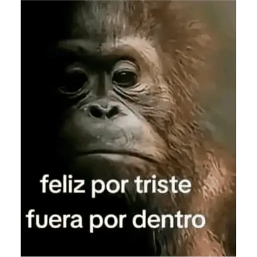 Creador de Stickers 