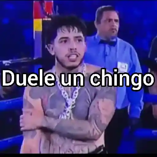 Pelea de Westcol 🥊