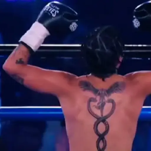Pelea de Westcol 🥊