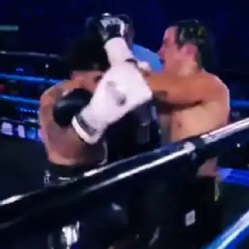 Pelea de Westcol 🥊