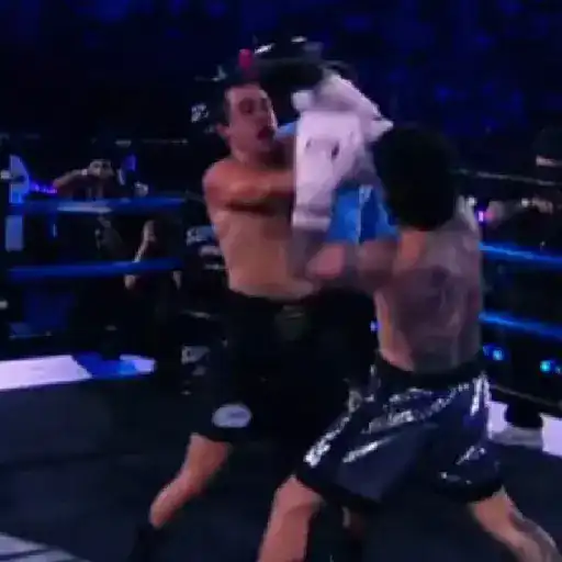 Pelea de Westcol 🥊