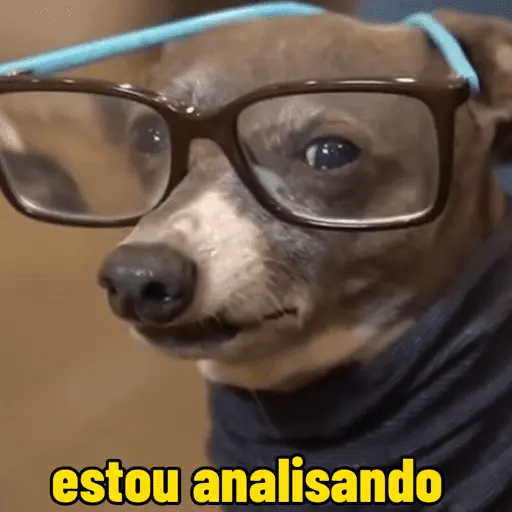 Memes cachorros