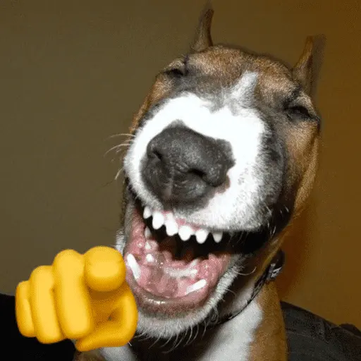 Memes cachorros