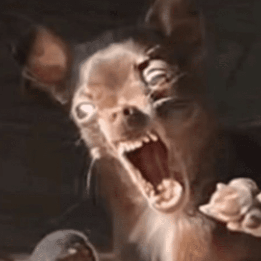 Memes cachorros preview