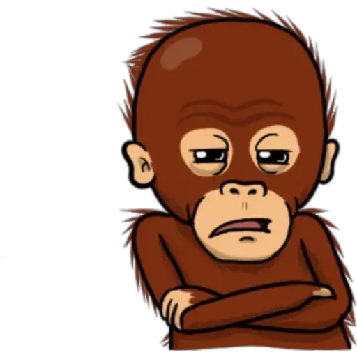 Minimono NPEREZ
