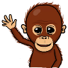Minimono NPEREZ