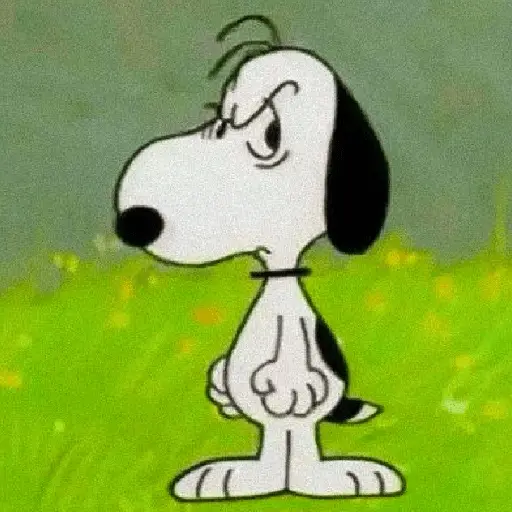 Snoopy mood variadito ✨