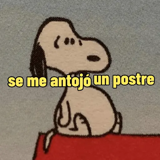 Snoopy mood variadito ✨