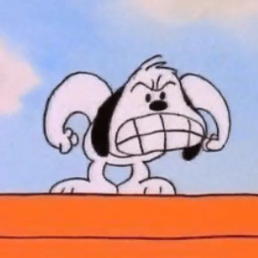 Snoopy mood variadito ✨