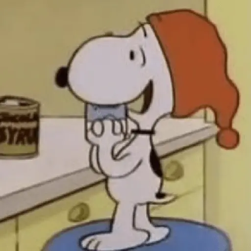 Snoopy mood variadito ✨